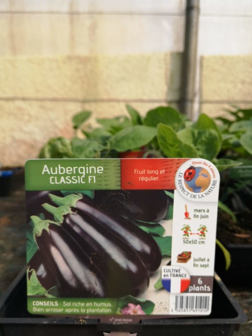 Aucoindemarue Courses En Ligne Coulonnier Fleuriste Paysagiste Aubergine 469 Scaled 1