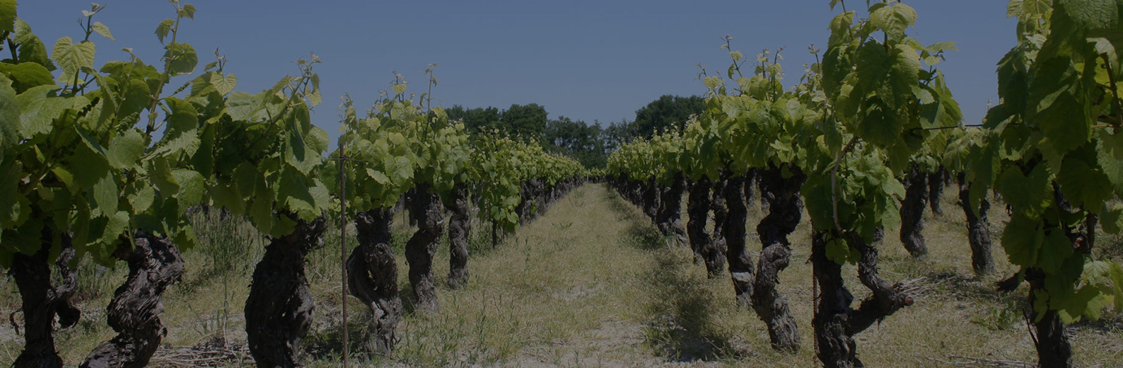 Chateau du saut du loup