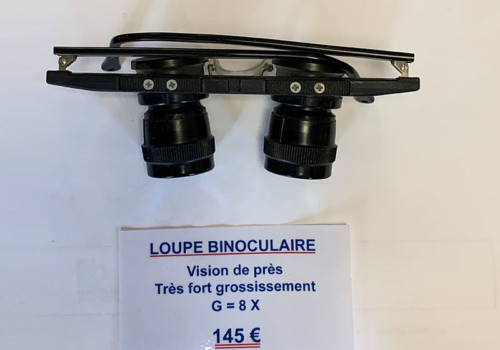 Courses En Ligne Loupe Binoculaire 2