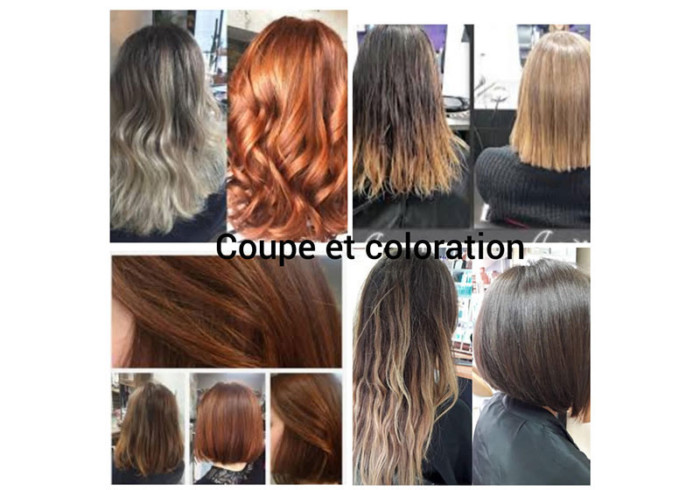 Courses En Ligne Coupe Brushing Coloration